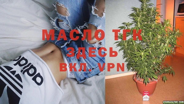 гидра Корсаков