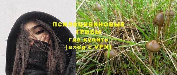 a pvp Киреевск