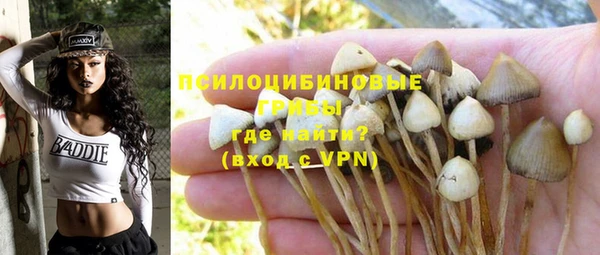 гидра Корсаков