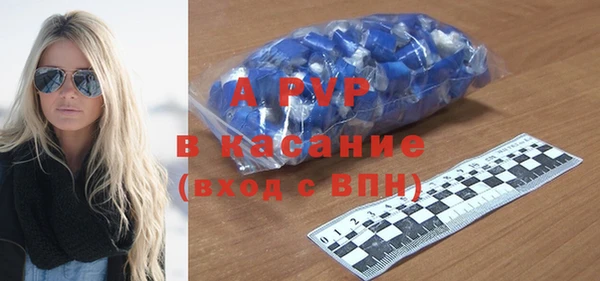 молекула духа Козловка