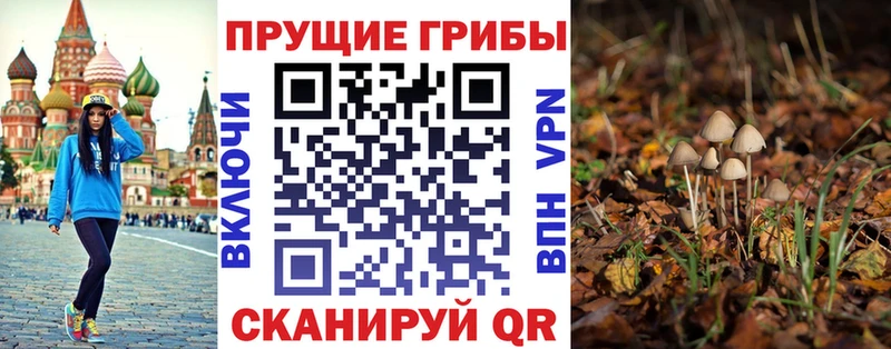 Псилоцибиновые грибы мухоморы  Касимов 