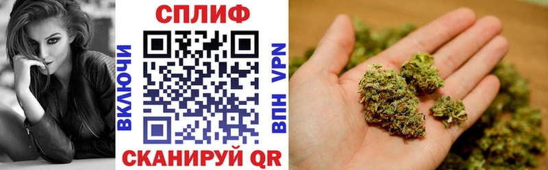 дарнет шоп  ОМГ ОМГ вход  Каннабис SATIVA & INDICA  Касимов 